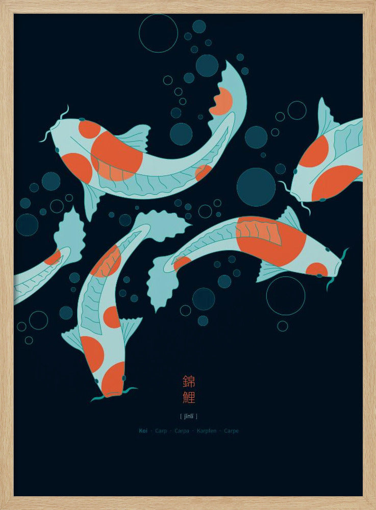 Koi-Karpfen | Poster