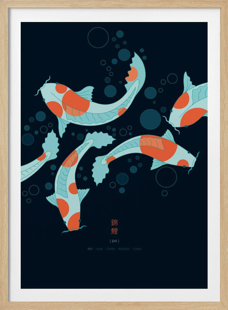 Koi-Karpfen | Poster