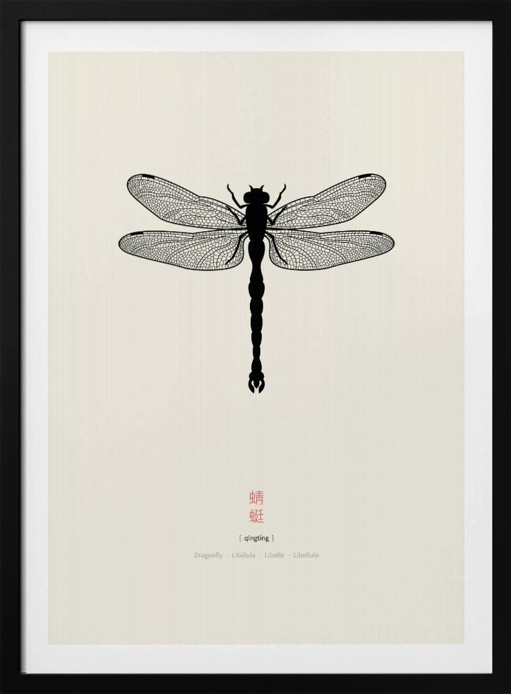 Libelle | Poster