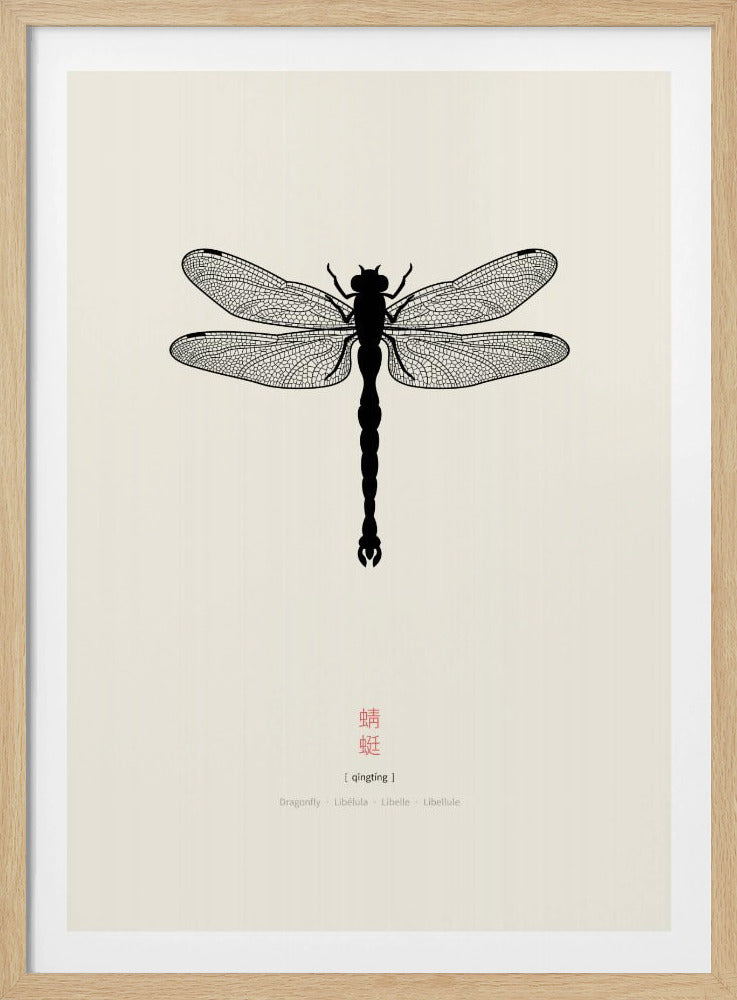 Libelle | Poster