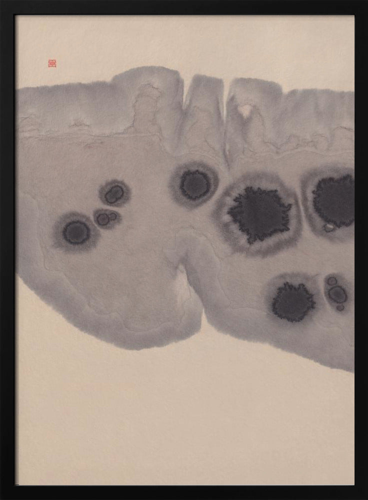 Study N°7 | Epidermis | Poster