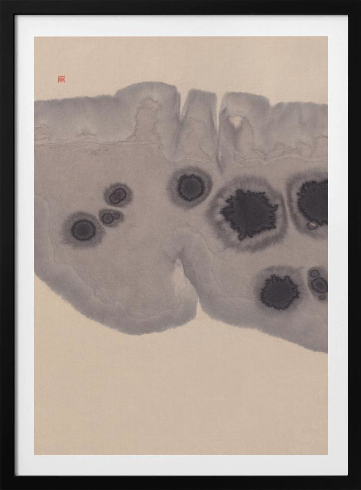 Study N°7 | Epidermis | Poster