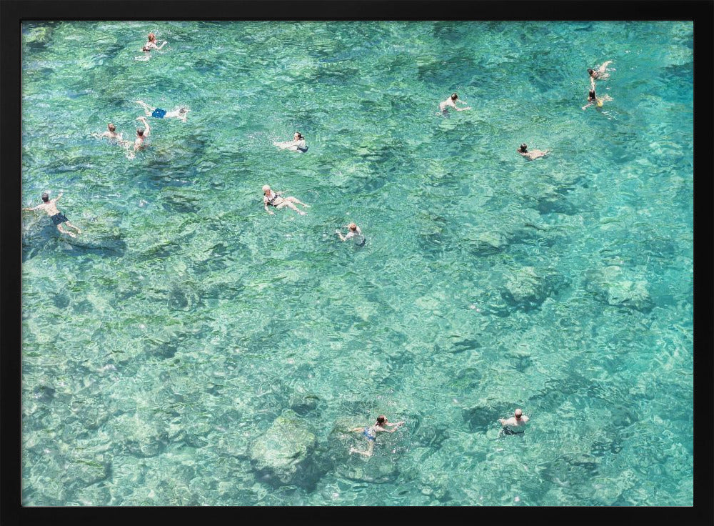 Schwimmen im Meer | Poster