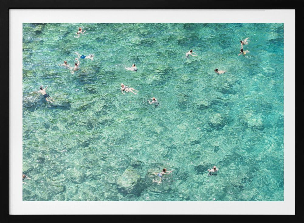 Schwimmen im Meer | Poster