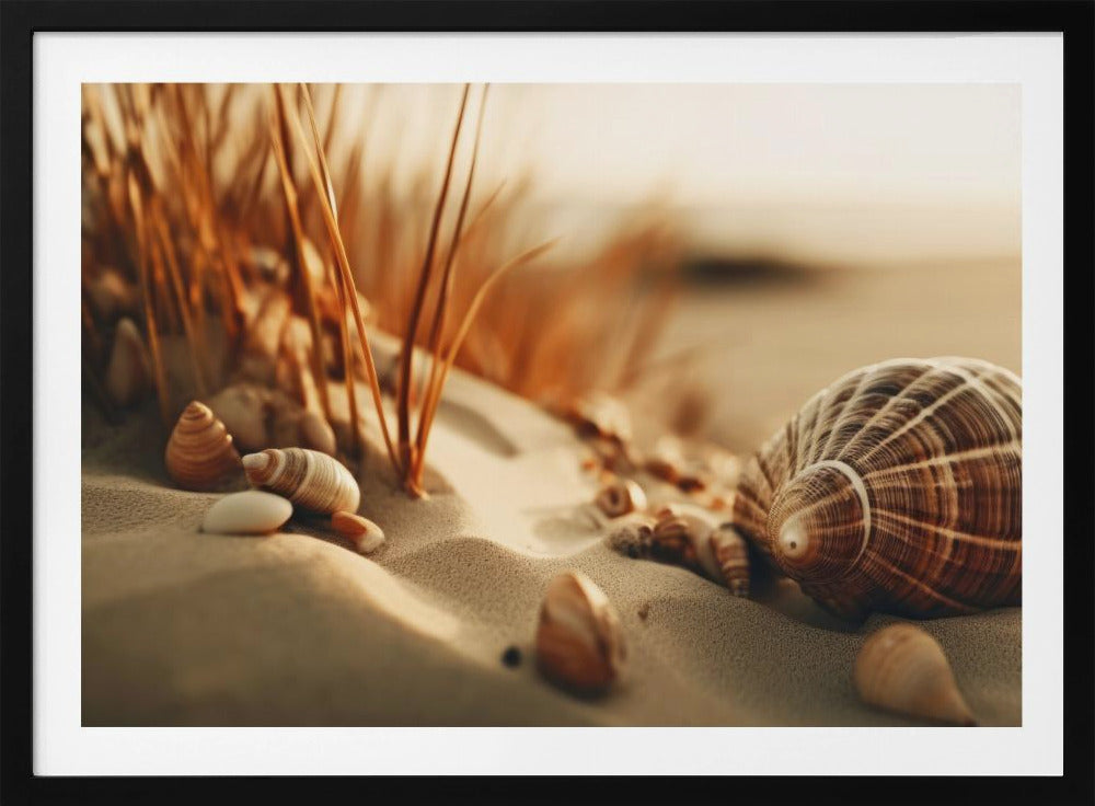 Dunes' Stille Muscheln | Poster