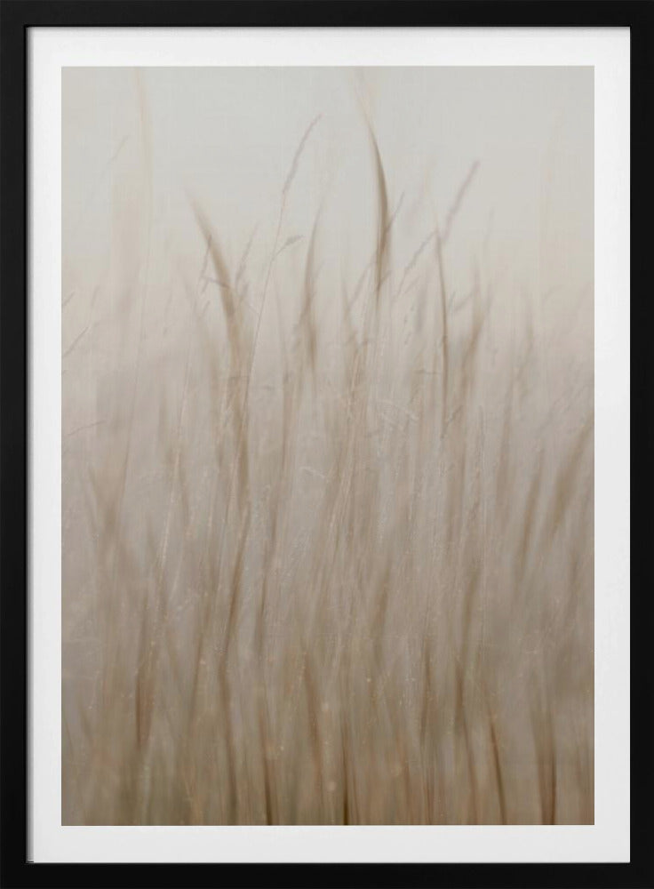 Wiesengras | Poster