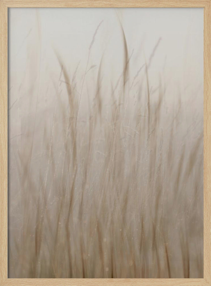 Wiesengras | Poster