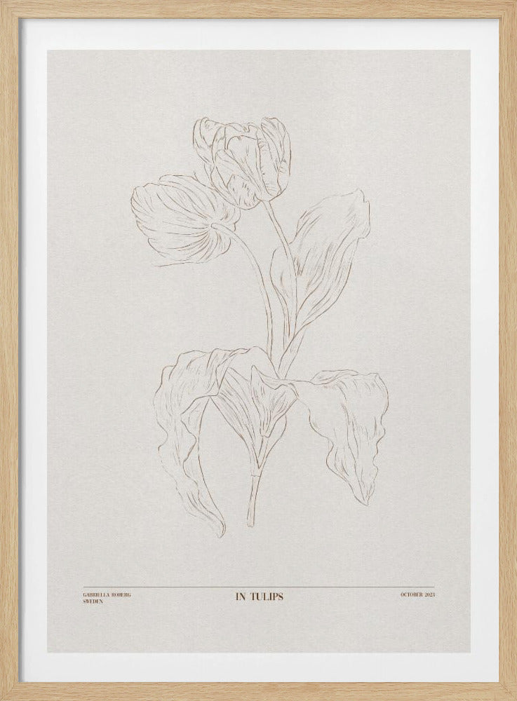In Tulpen (braun) | Poster