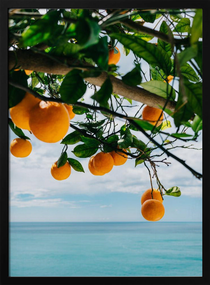 Orangen an der Amalfiküste IV | Poster