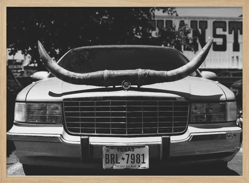 Texas Ride | Poster