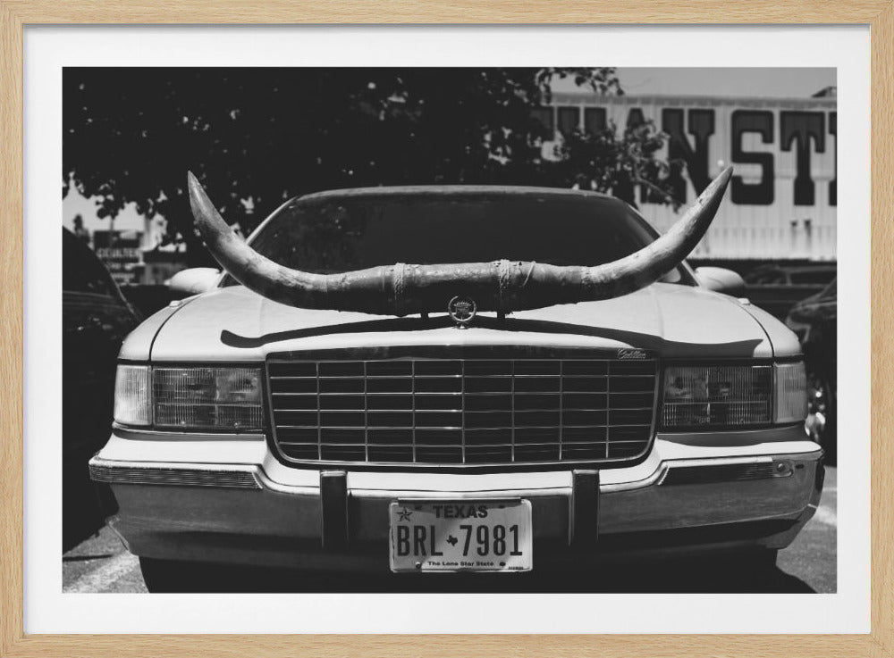 Texas Ride | Poster