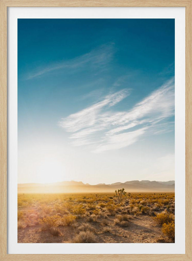 Sonnenaufgang in der Wüste von Nevada | Poster