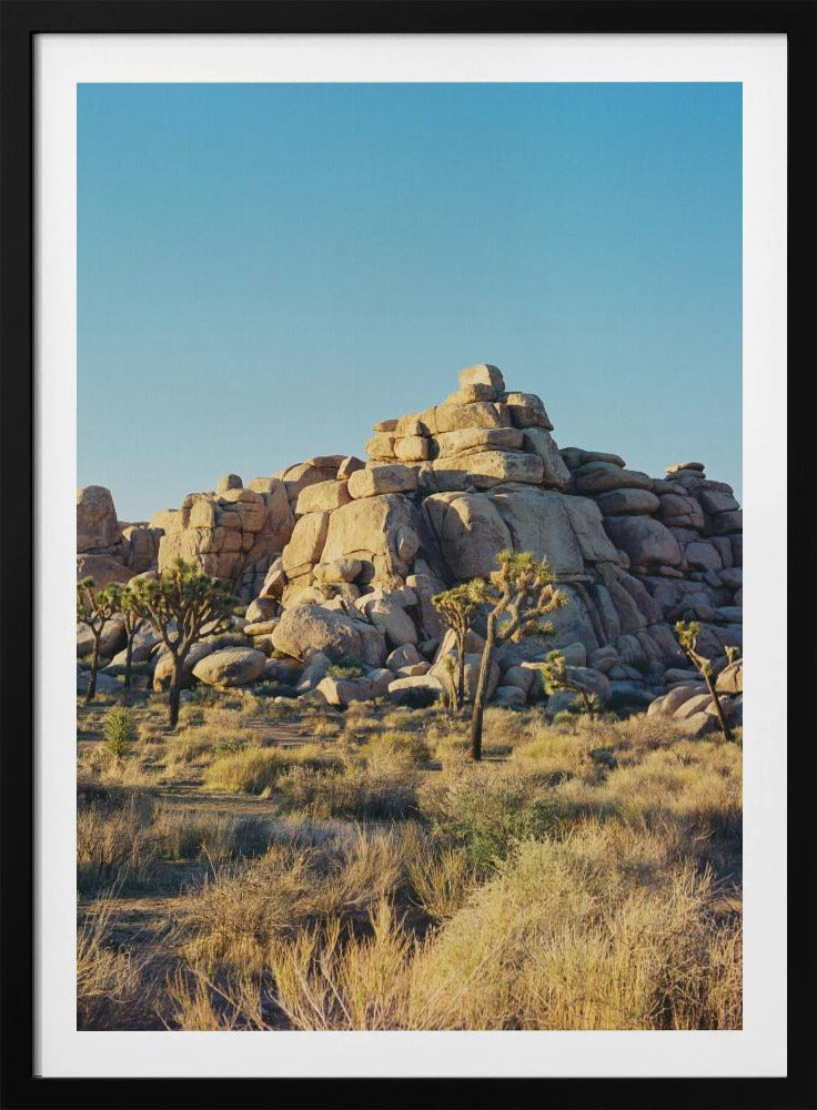 Sonnenuntergang am Joshua Tree | Poster