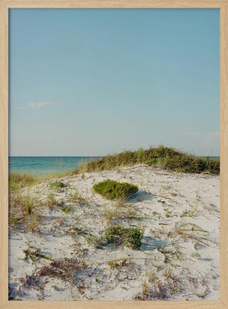 30a Dünen II | Poster