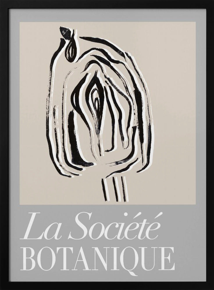 La Société Botanique Seed Pod | Poster