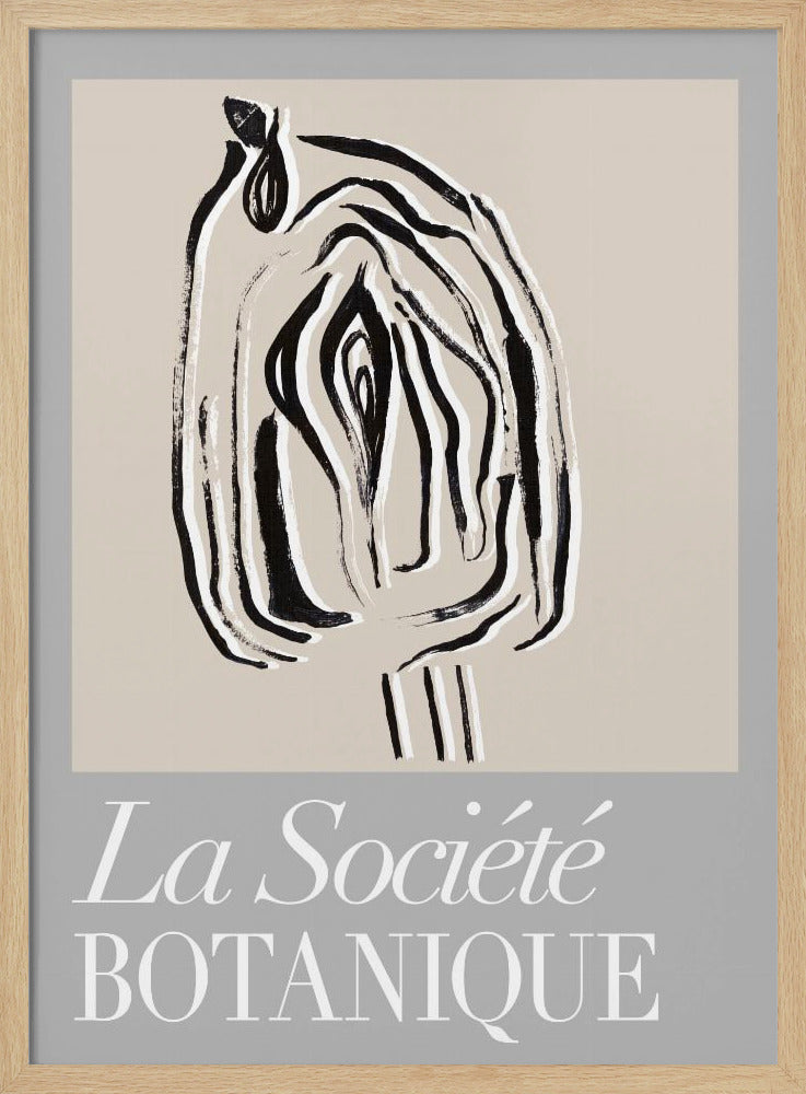 La Société Botanique Seed Pod | Poster