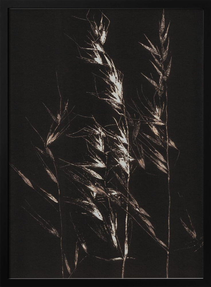 Wildes Gras | Poster
