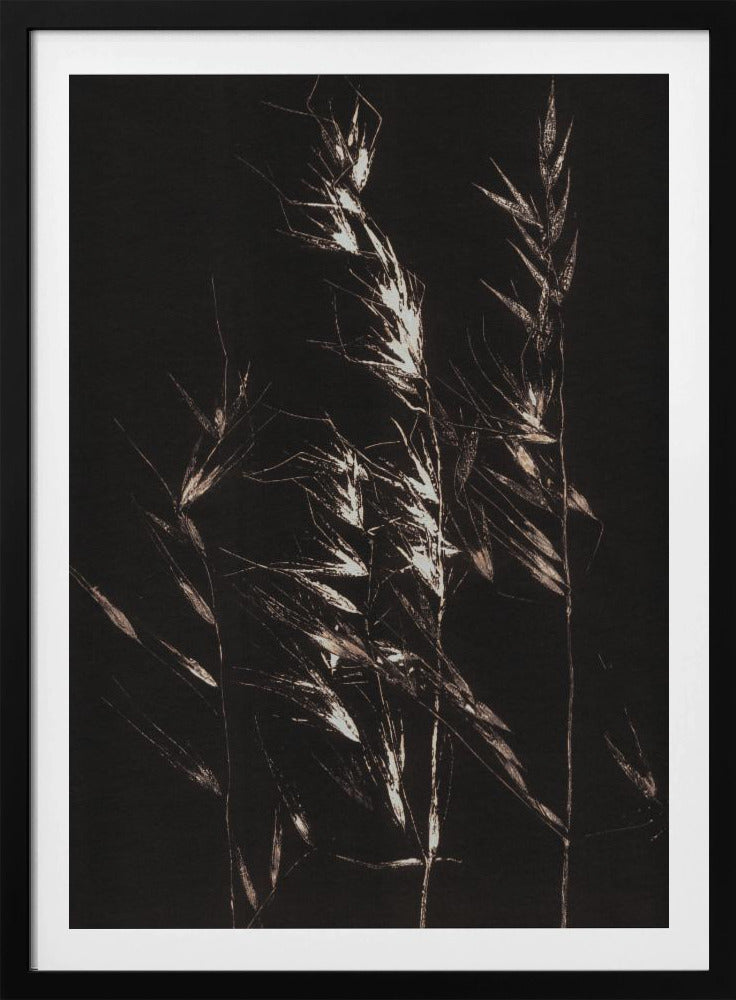 Wildes Gras | Poster