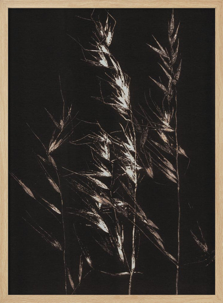 Wildes Gras | Poster