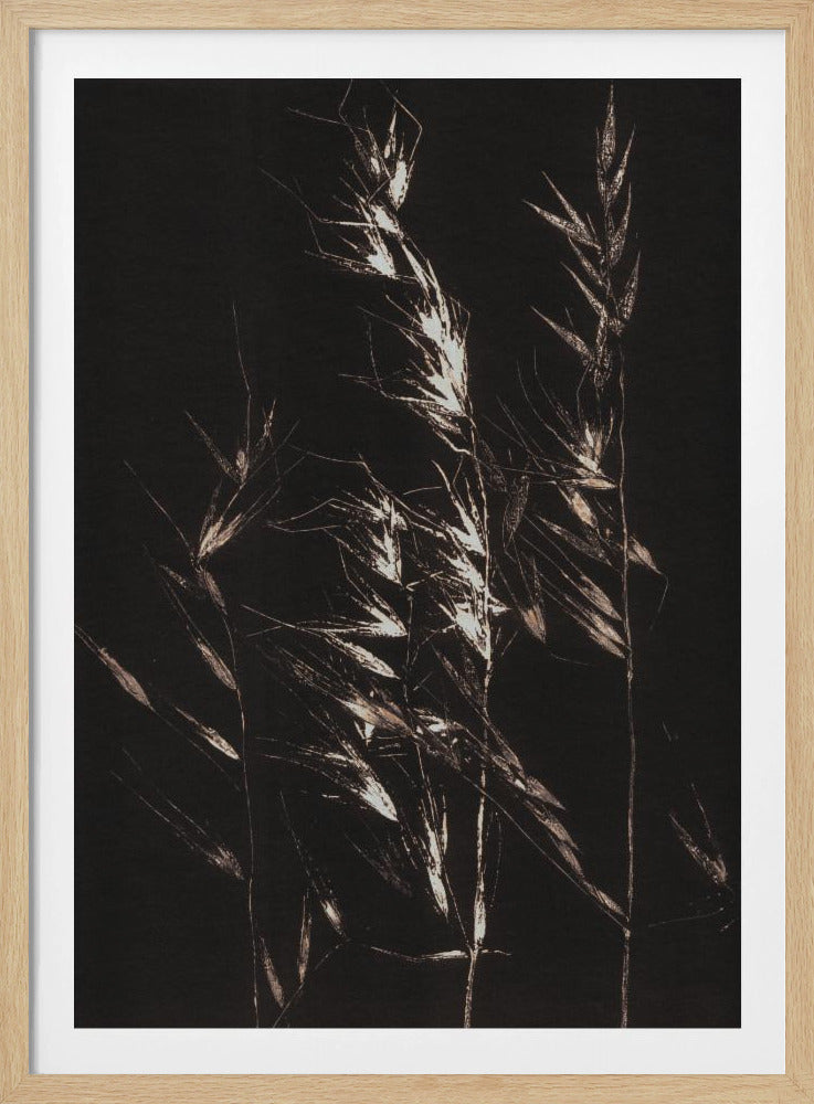 Wildes Gras | Poster