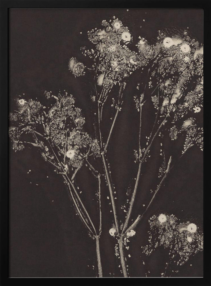 Floral Whispers | Poster
