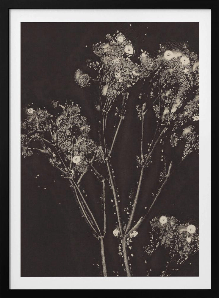 Floral Whispers | Poster