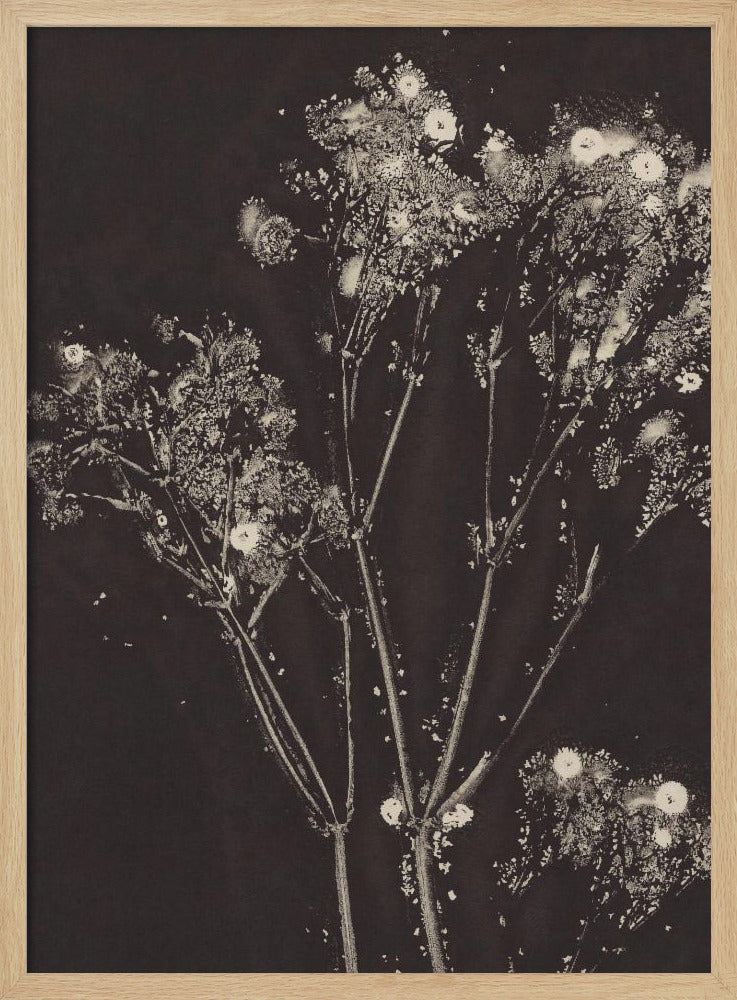 Floral Whispers | Poster