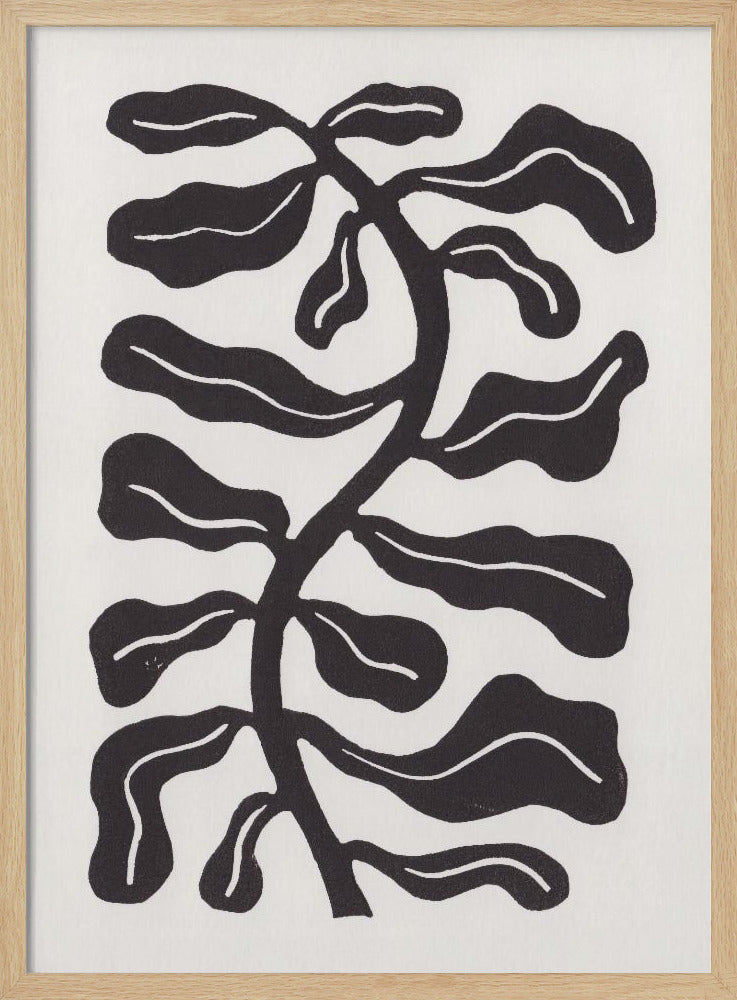 Windgeküsste Pflanze / Tafel Schwarz | Poster