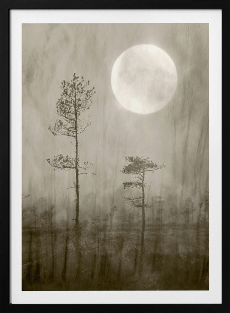 Mondscheinmoor | Poster