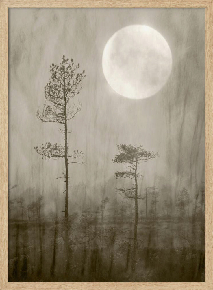 Mondscheinmoor | Poster