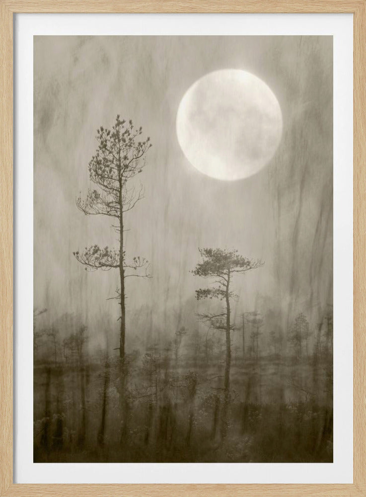 Mondscheinmoor | Poster