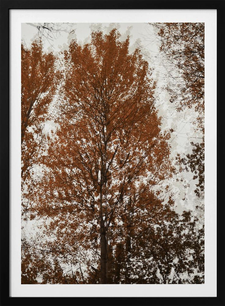 Aspen | Poster