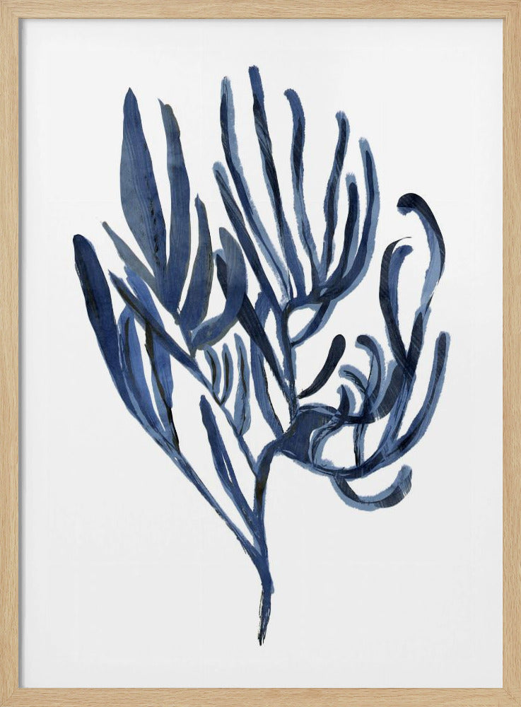 Blaues Wasserpflanzen-Poster 3 | Poster
