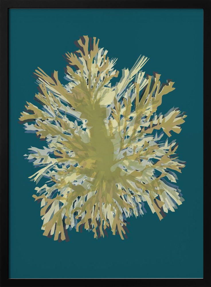 Seaweed Poster 1 | Poster