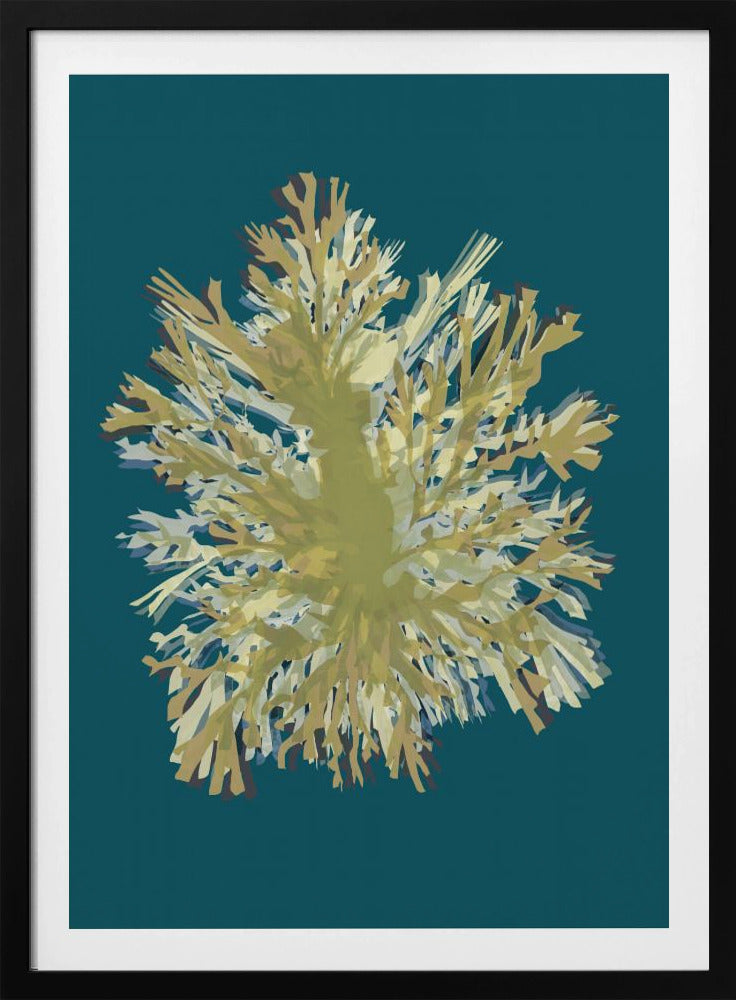 Seaweed Poster 1 | Poster