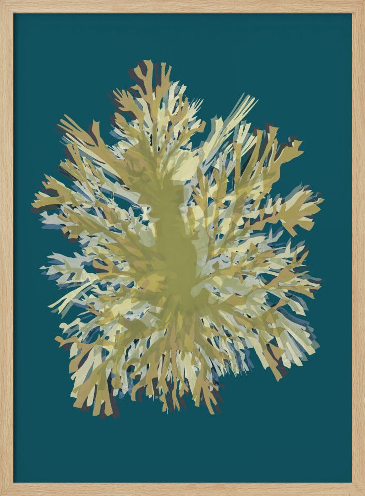 Seaweed Poster 1 | Poster