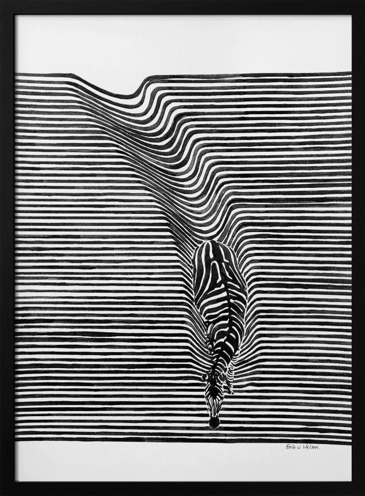 Zebra im Gras | Poster