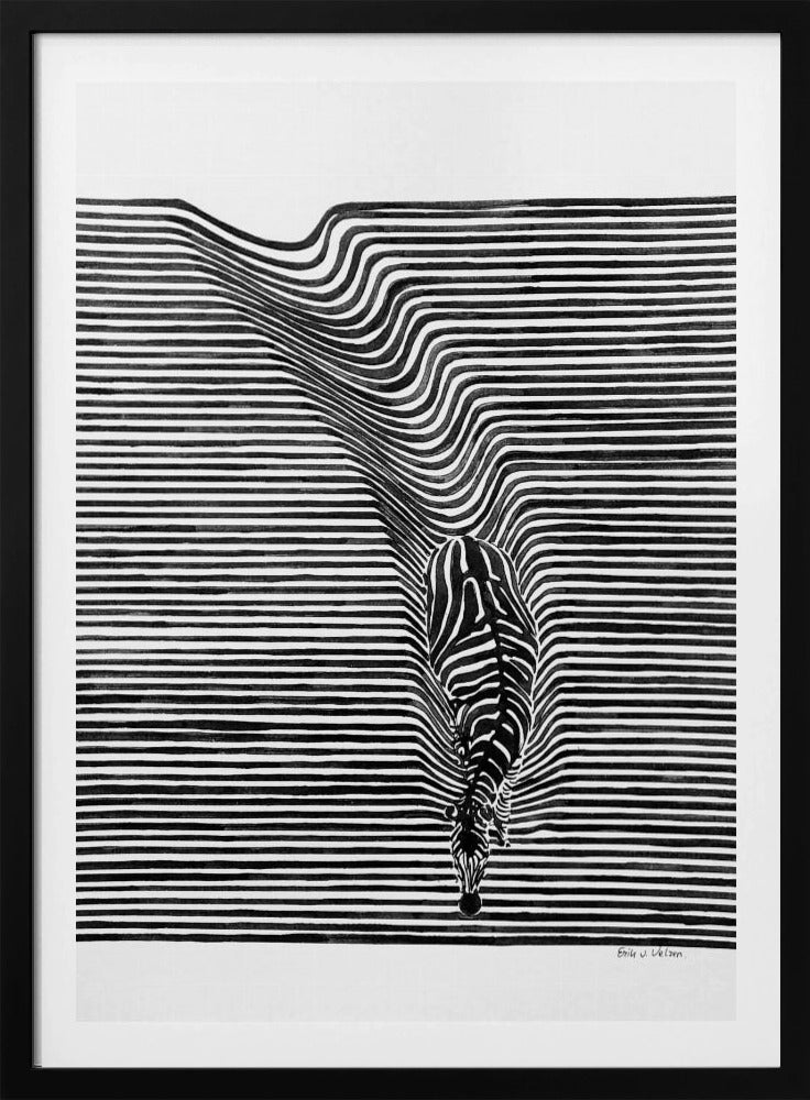 Zebra im Gras | Poster