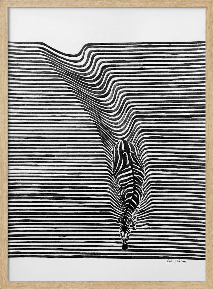 Zebra im Gras | Poster