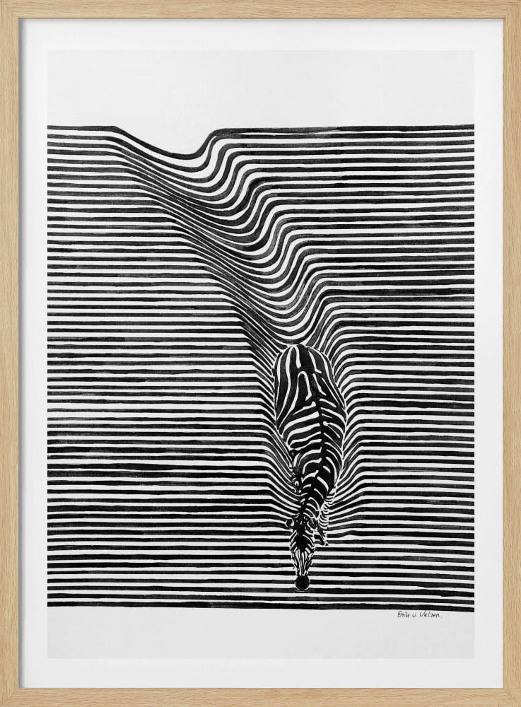 Zebra im Gras | Poster
