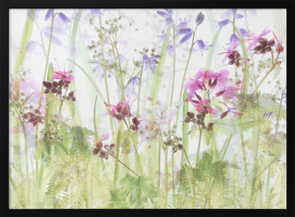 Between the grasses | Poster