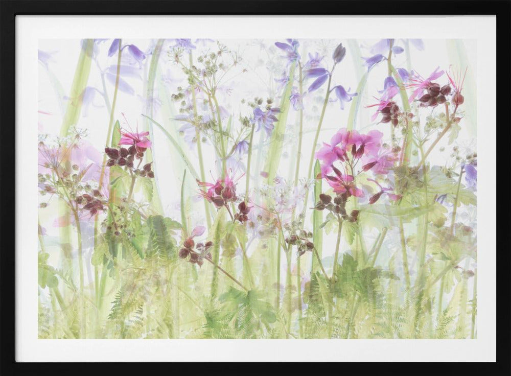 Between the grasses | Poster