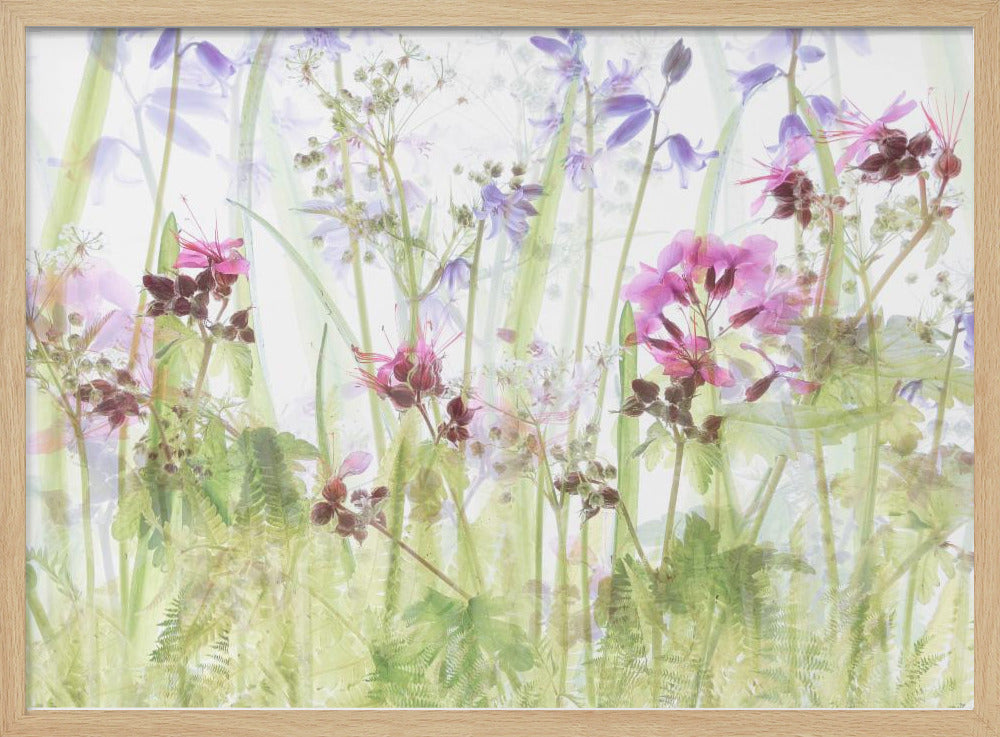 Between the grasses | Poster