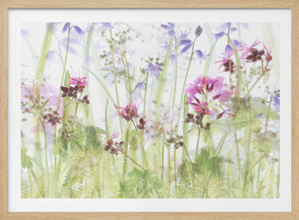 Between the grasses | Poster