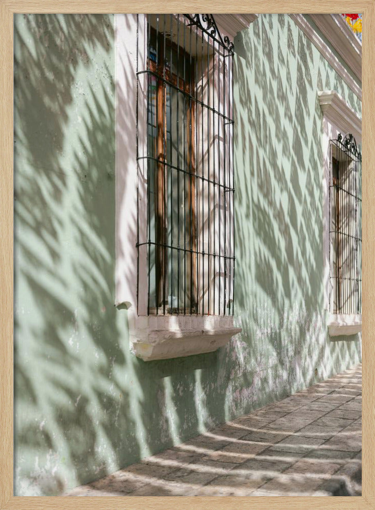 Grünes Oaxaca | Mexiko Reisefotografie | Poster