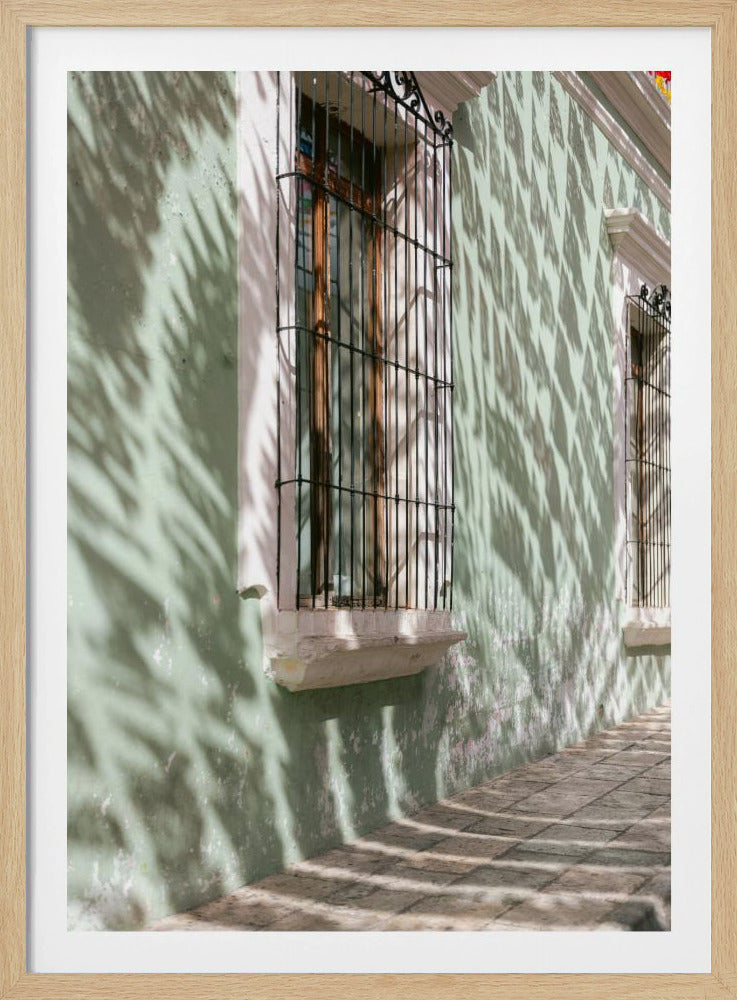 Grünes Oaxaca | Mexiko Reisefotografie | Poster