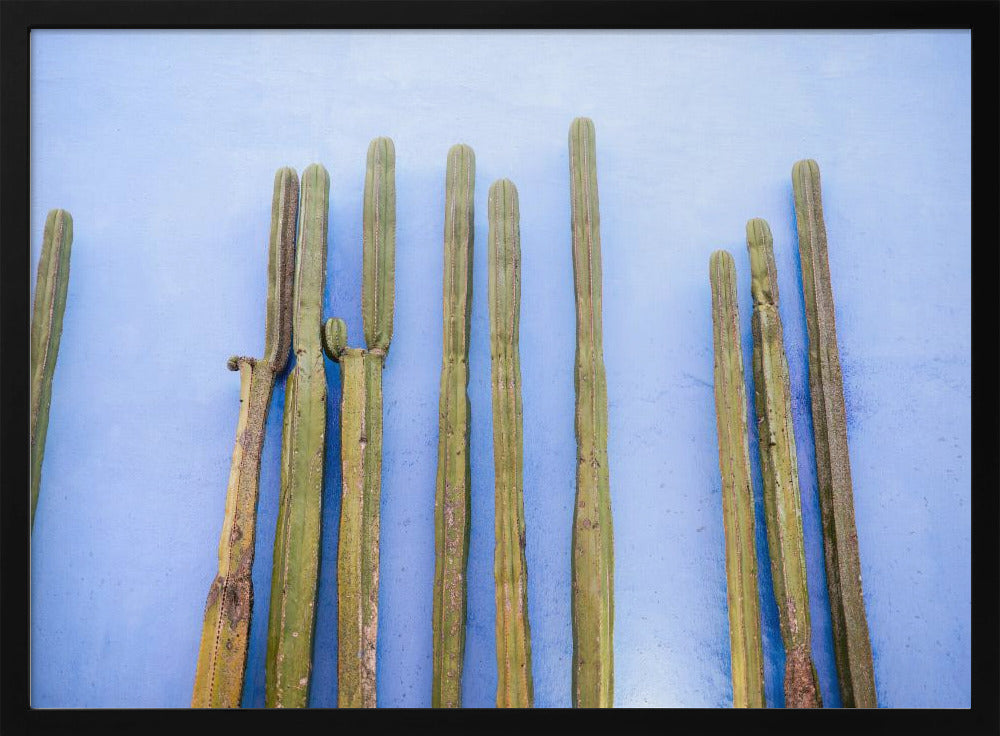 Tall Cacti on Blue | Oaxaca Mexico Travel | Poster