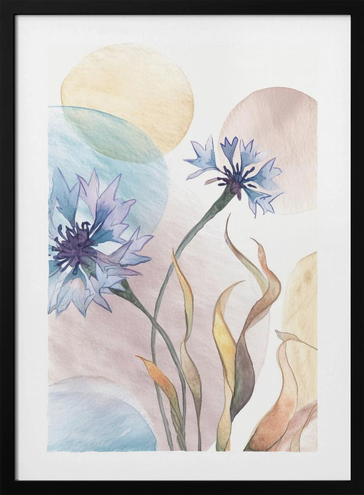 Aquarell Kornblumen | Poster