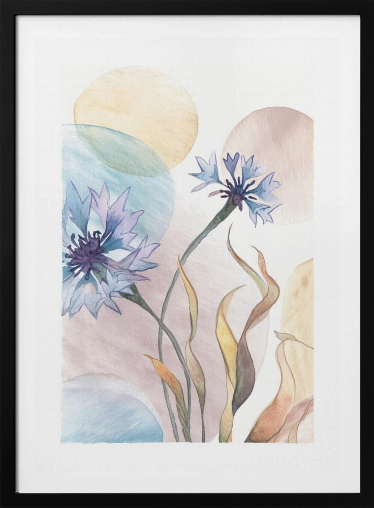 Aquarell Kornblumen | Poster