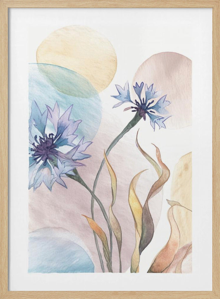 Aquarell Kornblumen | Poster